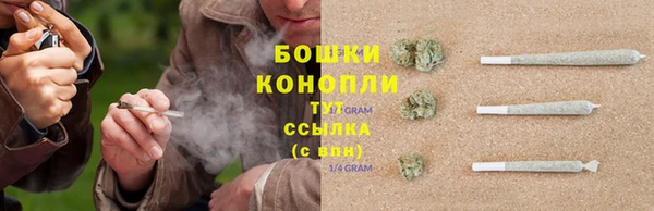 дурь Лиски