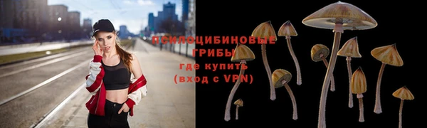 мдпв Магадан