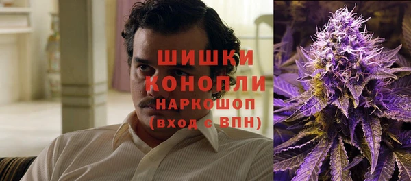 дурь Лиски