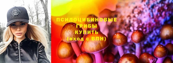 spice Магас